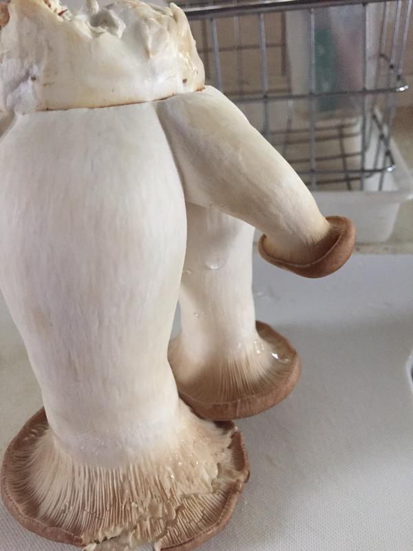 圖片來源: twitter@mu9ree_2