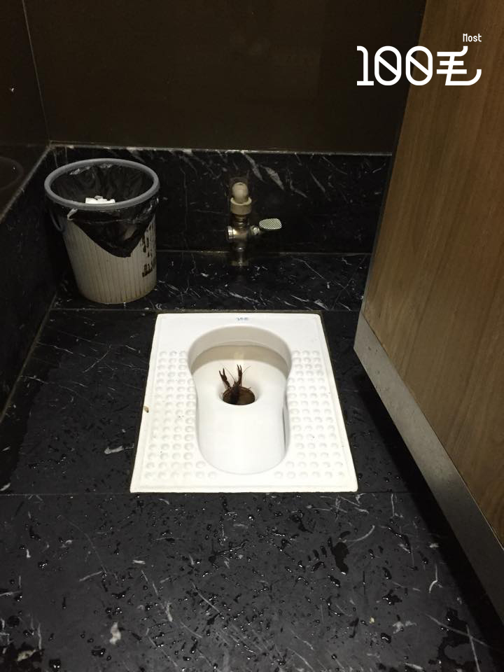 讀者來圖：Sharon Ng