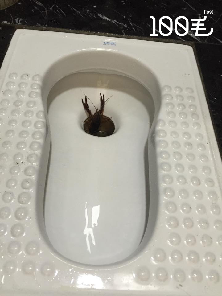 讀者來圖：Sharon Ng