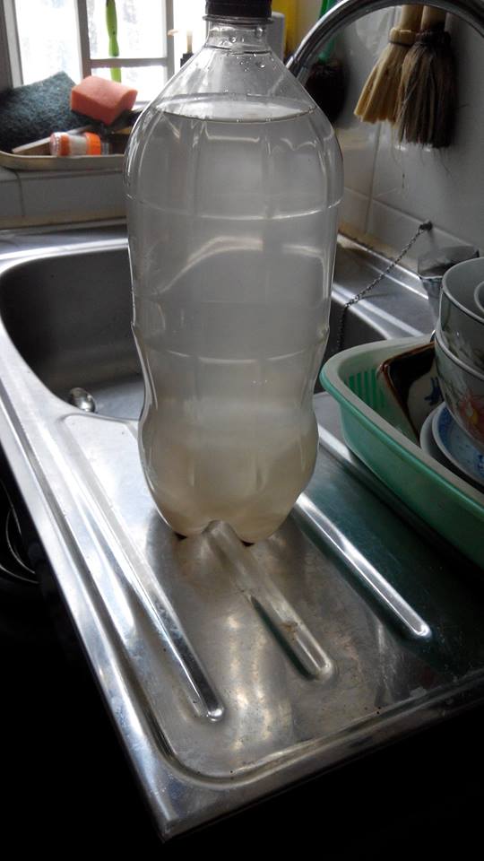 圖片來源：Kelvin Liu / 啟晴德朗街坊互助交友組，讀者報料：Ian Mong