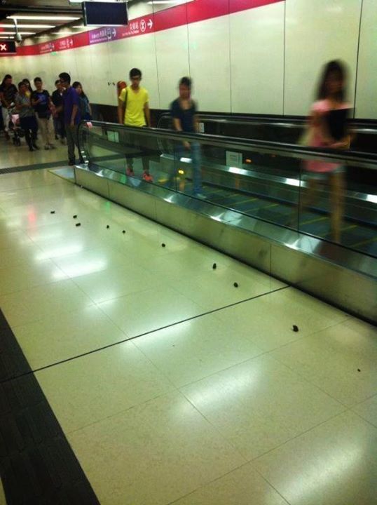 圖片來源：日出康城業主討論區