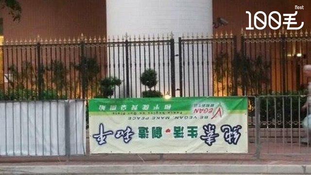 讀者來圖:Saki Lau