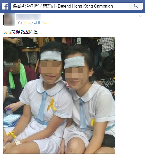 圖片來源:保衛香港運動(公開群組) Defend Hong Kong Campaign
