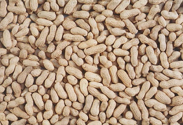 圖片來源：cxtuku.com