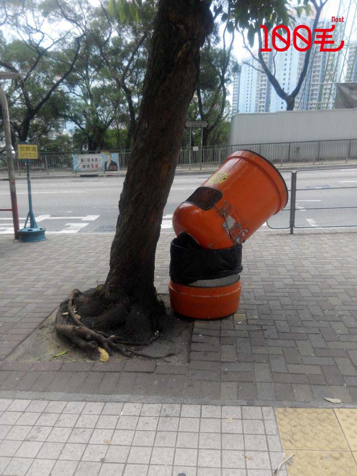 讀者來圖：Karen Tse