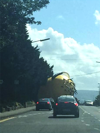 圖片來源：The Independent