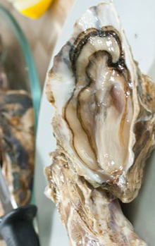 圖片來源：sina.com