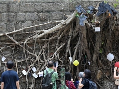 圖片來源：蘋果日報