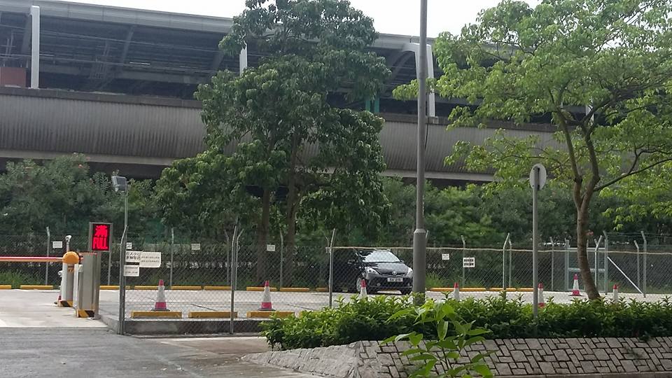 圖片來源:Roy Lam / 馬鞍山之友