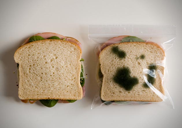 圖片來源:HICONSUMPTION