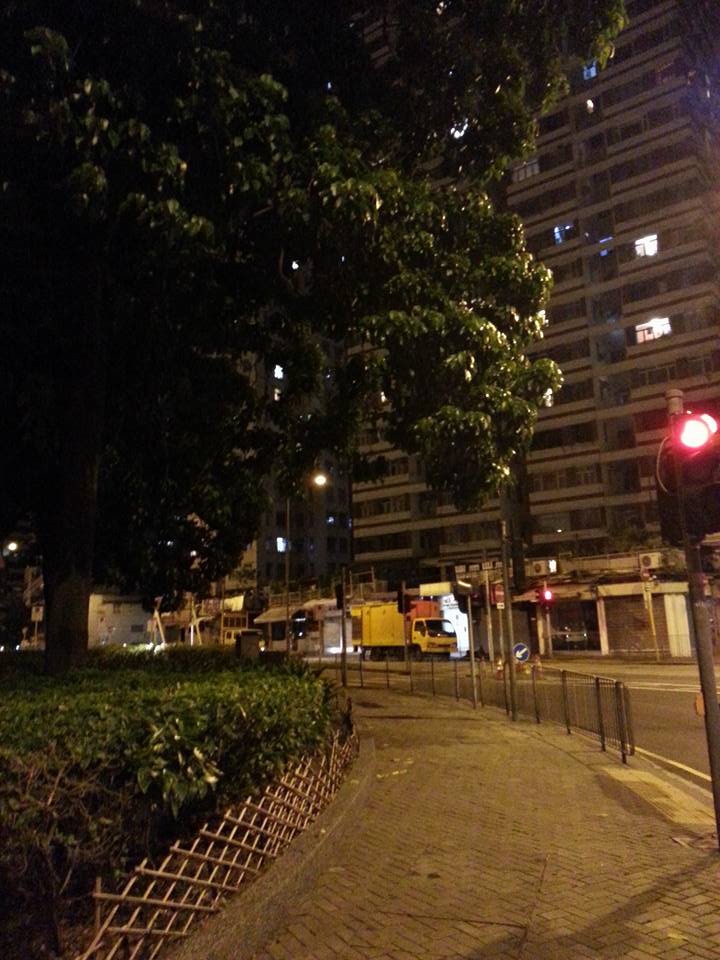 圖片來源：Gary Chi Sing Cheng