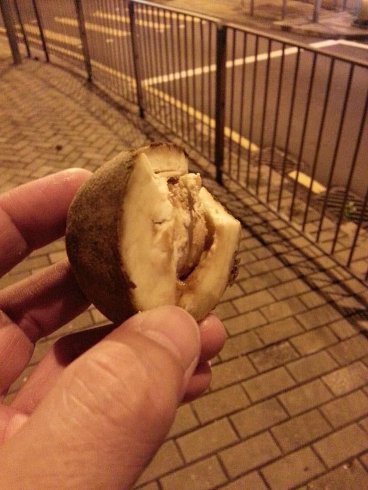 圖片來源：Gary Chi Sing Cheng