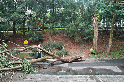 圖片來源：文匯報