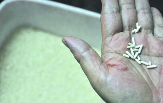 圖片來源：汕頭都市報