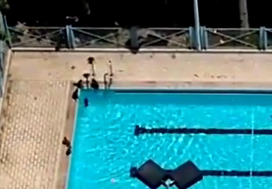 圖片來源：現場－蘋果突發片段截圖 