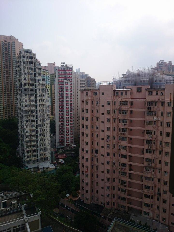 讀者來圖：劉康