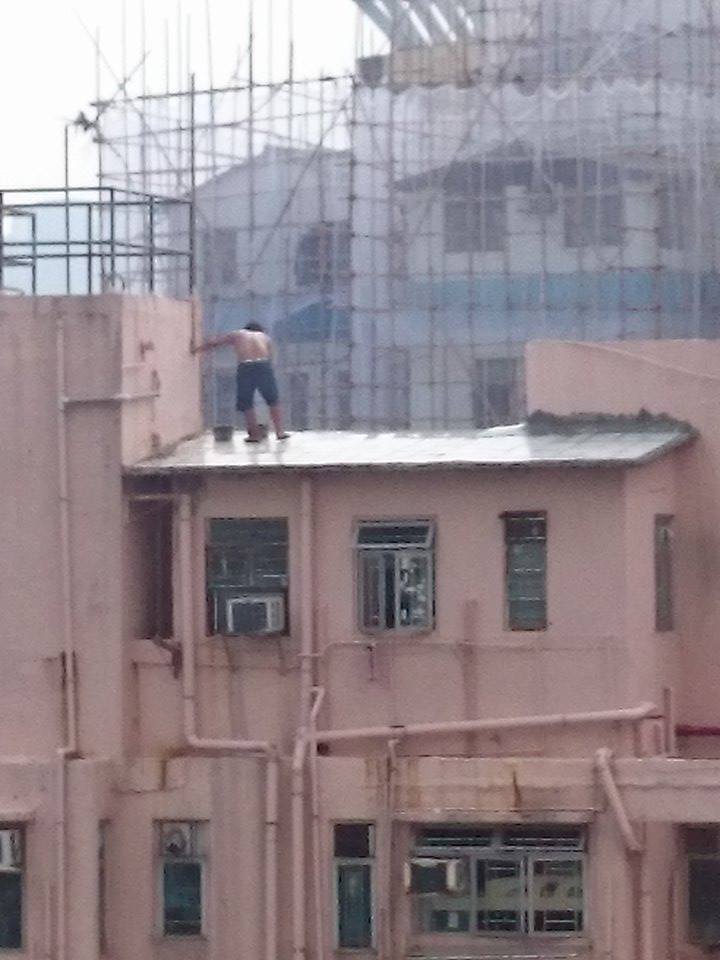 讀者來圖：劉康