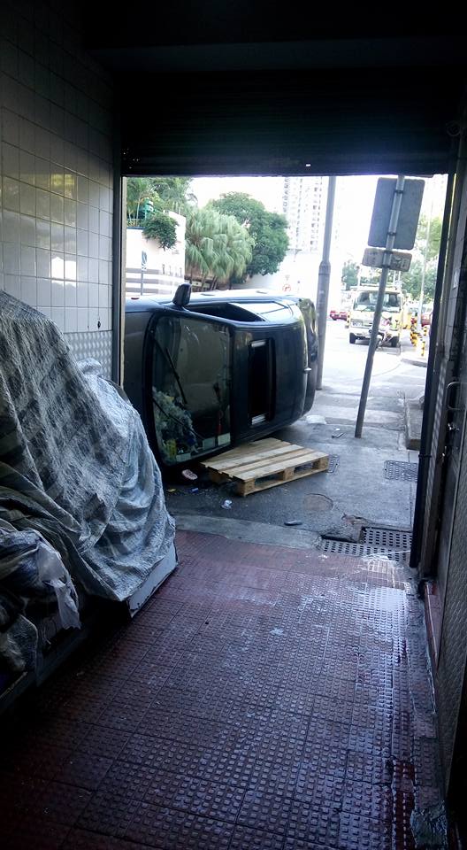 圖片來源:Chi Hung Stephen Tam/馬鞍山之友