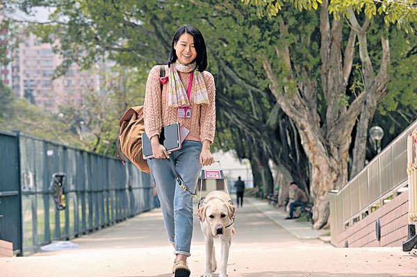 圖片來源:TVB 《陪著你走》截圖