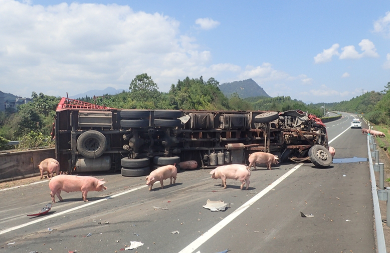 圖片來源:東南網