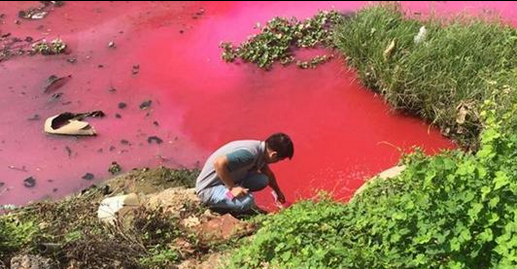 圖片來源：新浪廣東
