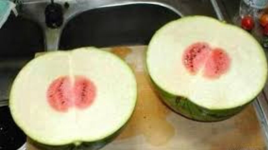 圖片來源：mamamia.com.au