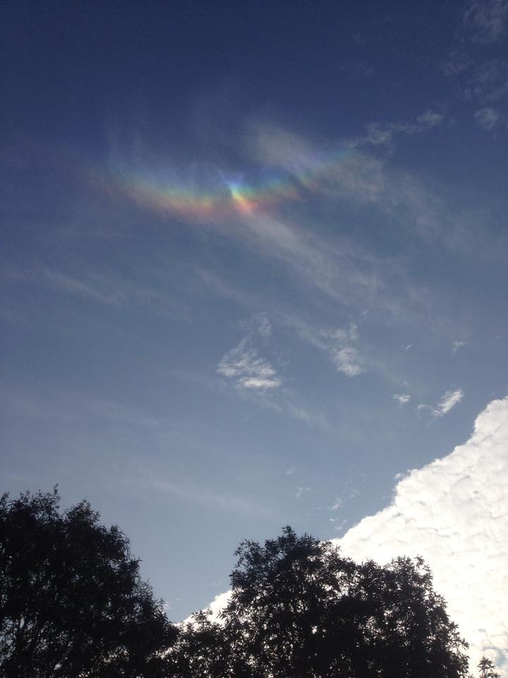 圖片來源：Chui Sing Nam