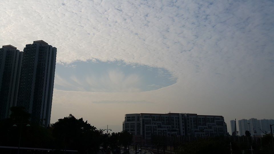 圖片來源：Xu Xu