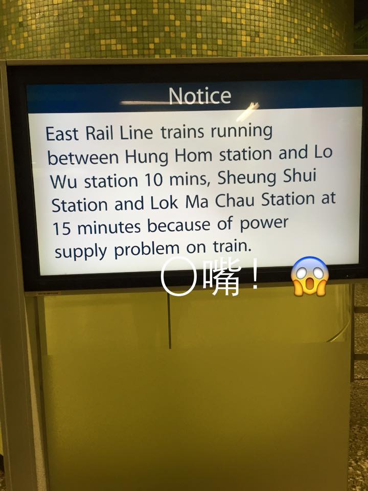 圖片來源：曾欣欣 Gloria