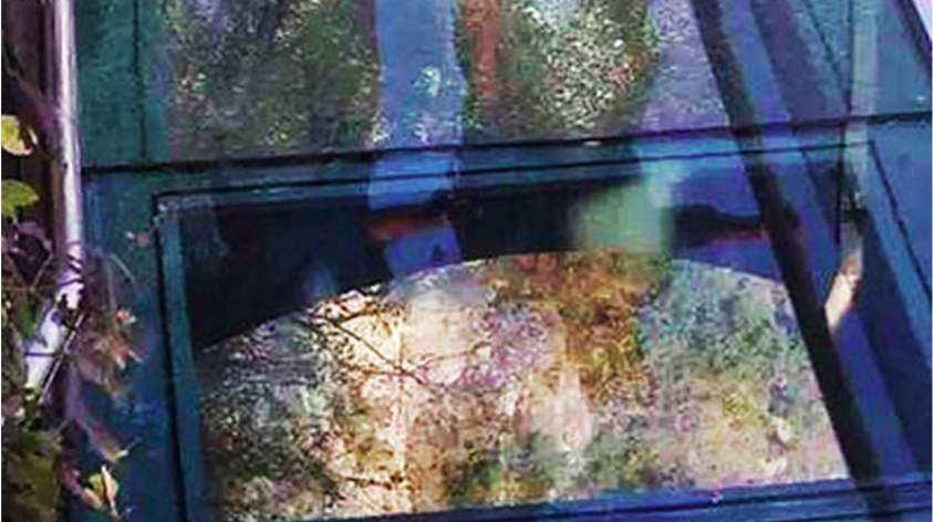 圖片來源：微博