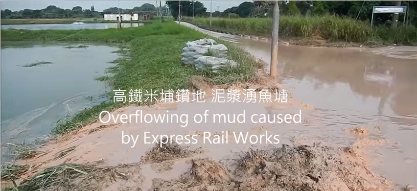 圖片來源:香港觀鳥會