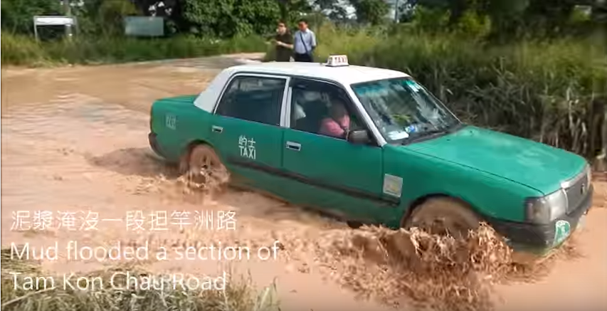 圖片來源:香港觀鳥會
