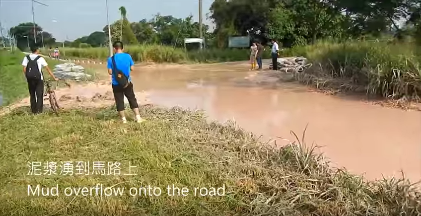 圖片來源:香港觀鳥會