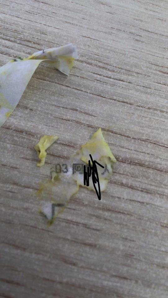 圖片來源:Yat Ching Sunny Suen/ Tai Po 大埔