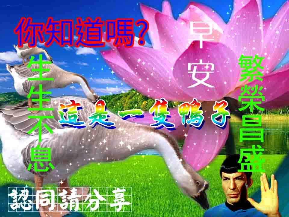 圖片來源：新一代長輩line圖片設計展