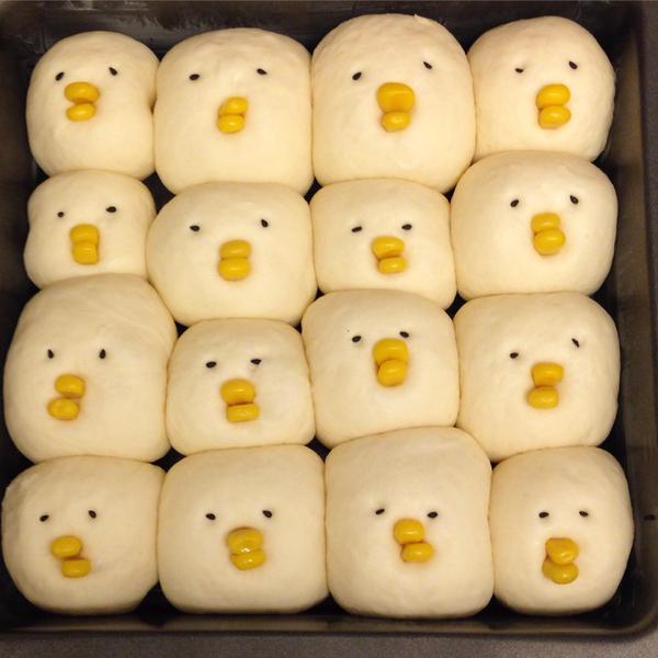 圖片來源:twicolle.com