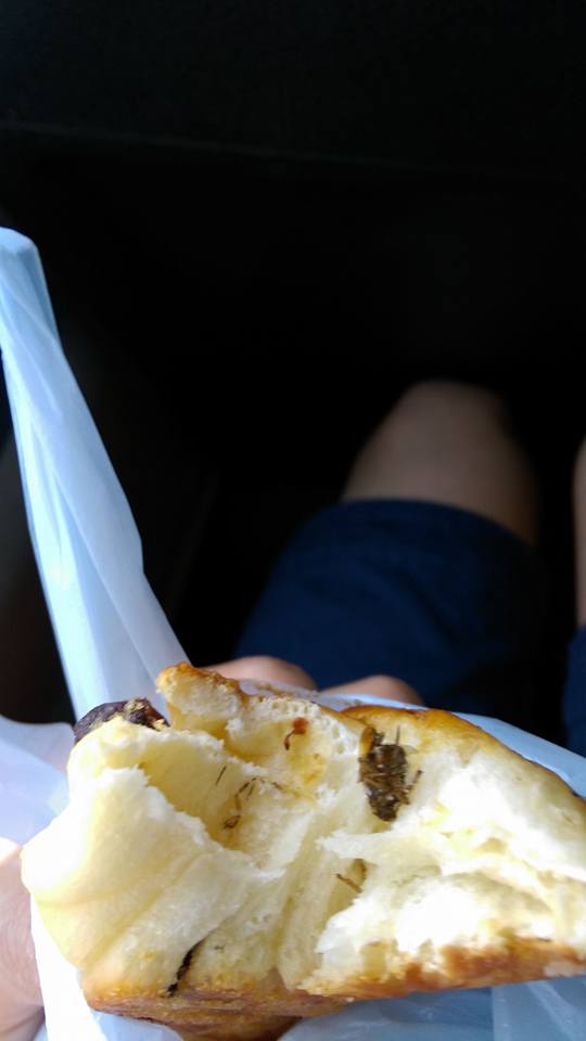 圖片來源:However Chun/Tai Po 大埔