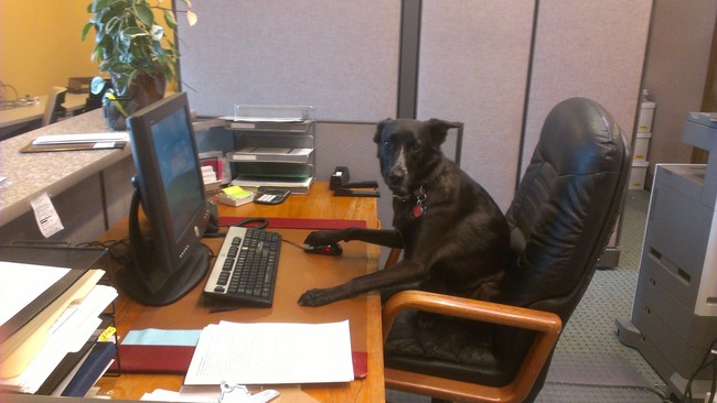 圖片來源:妞新聞