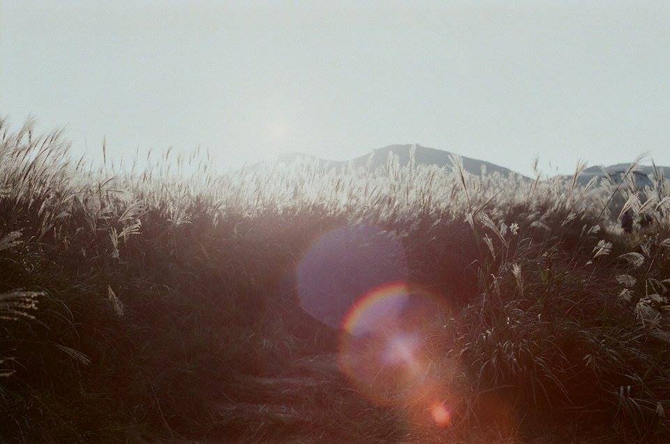 圖片來源：毛毛FD子陳聰