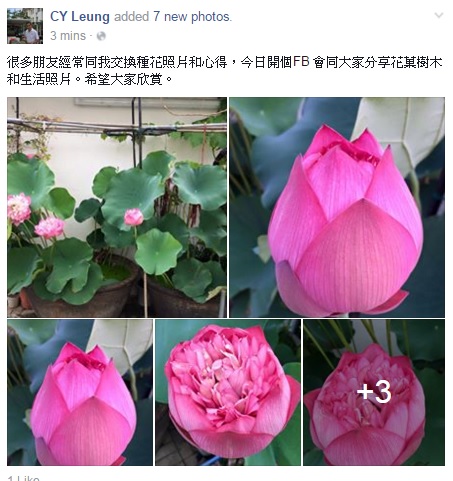圖片來源：梁振英Facebook截圖