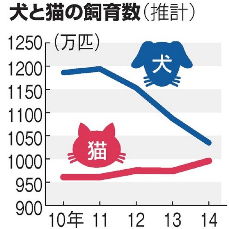 圖片來源:《朝日新聞》