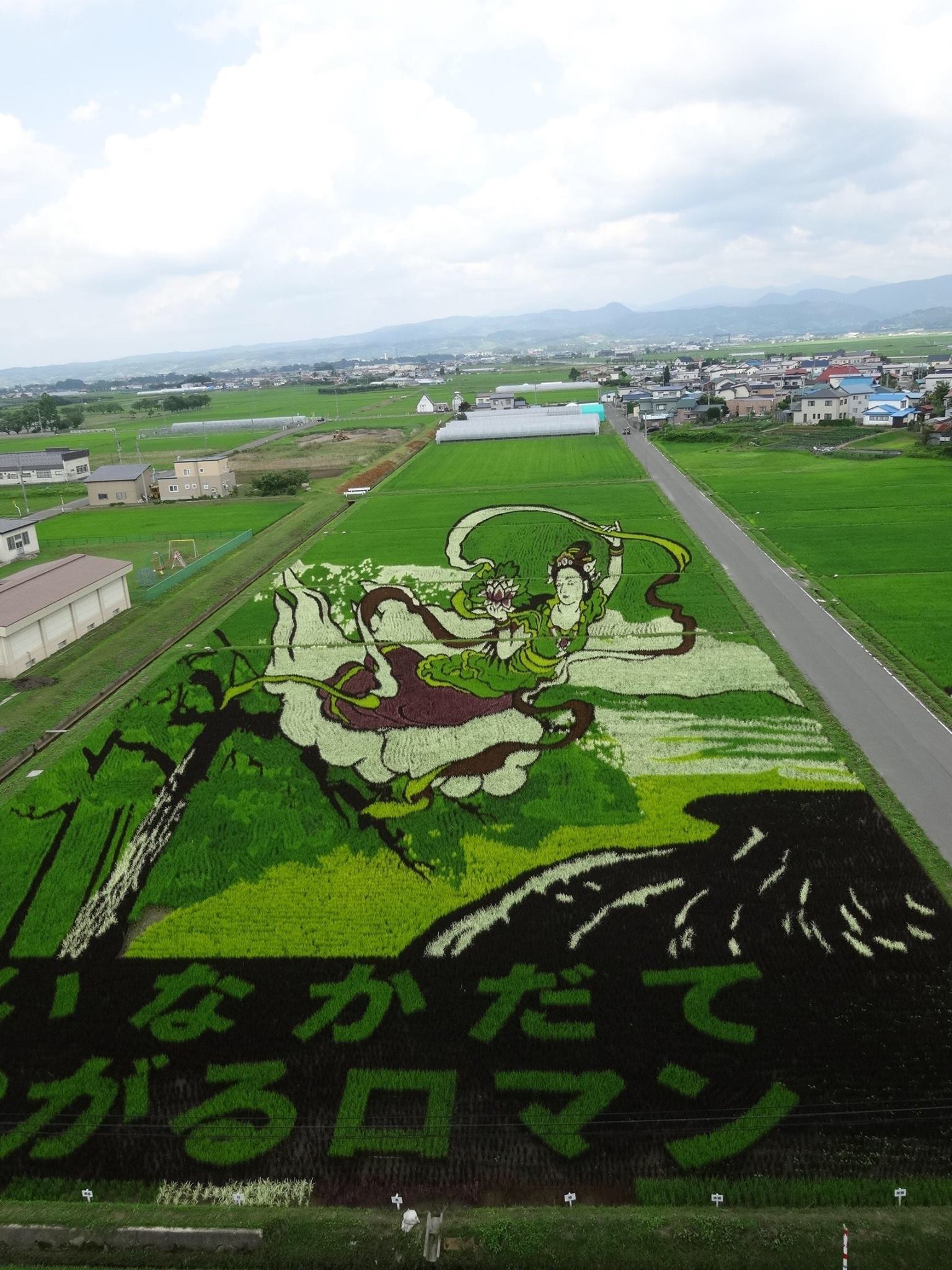 圖片來源:青森縣觀光信息