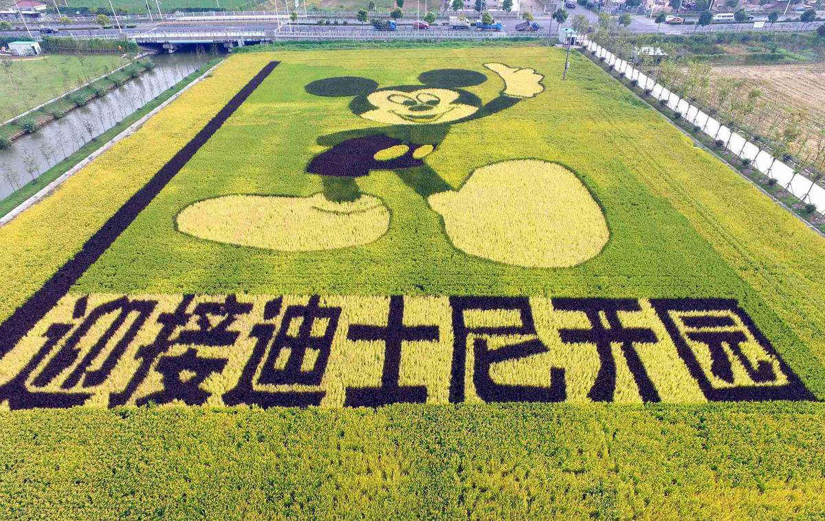 圖片來源:騰訊新聞