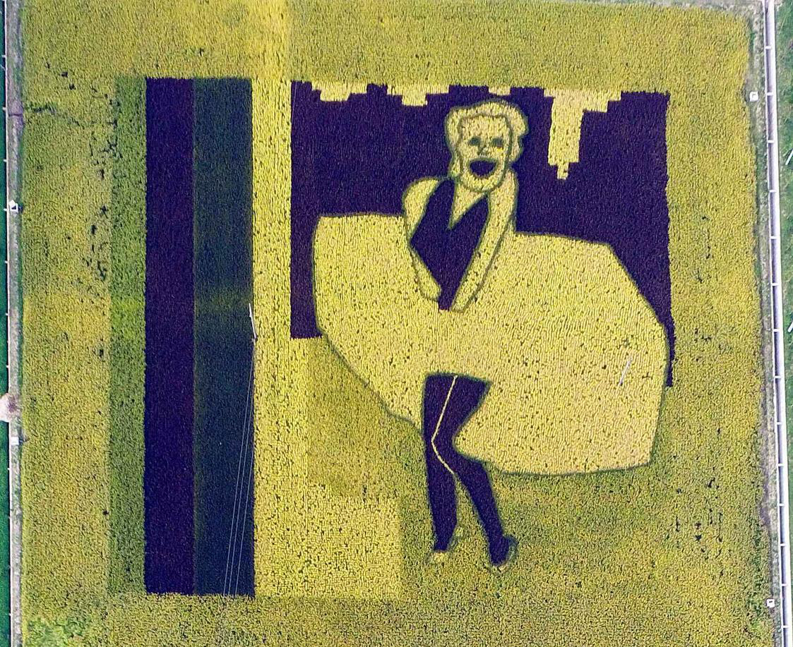 圖片來源:騰訊新聞