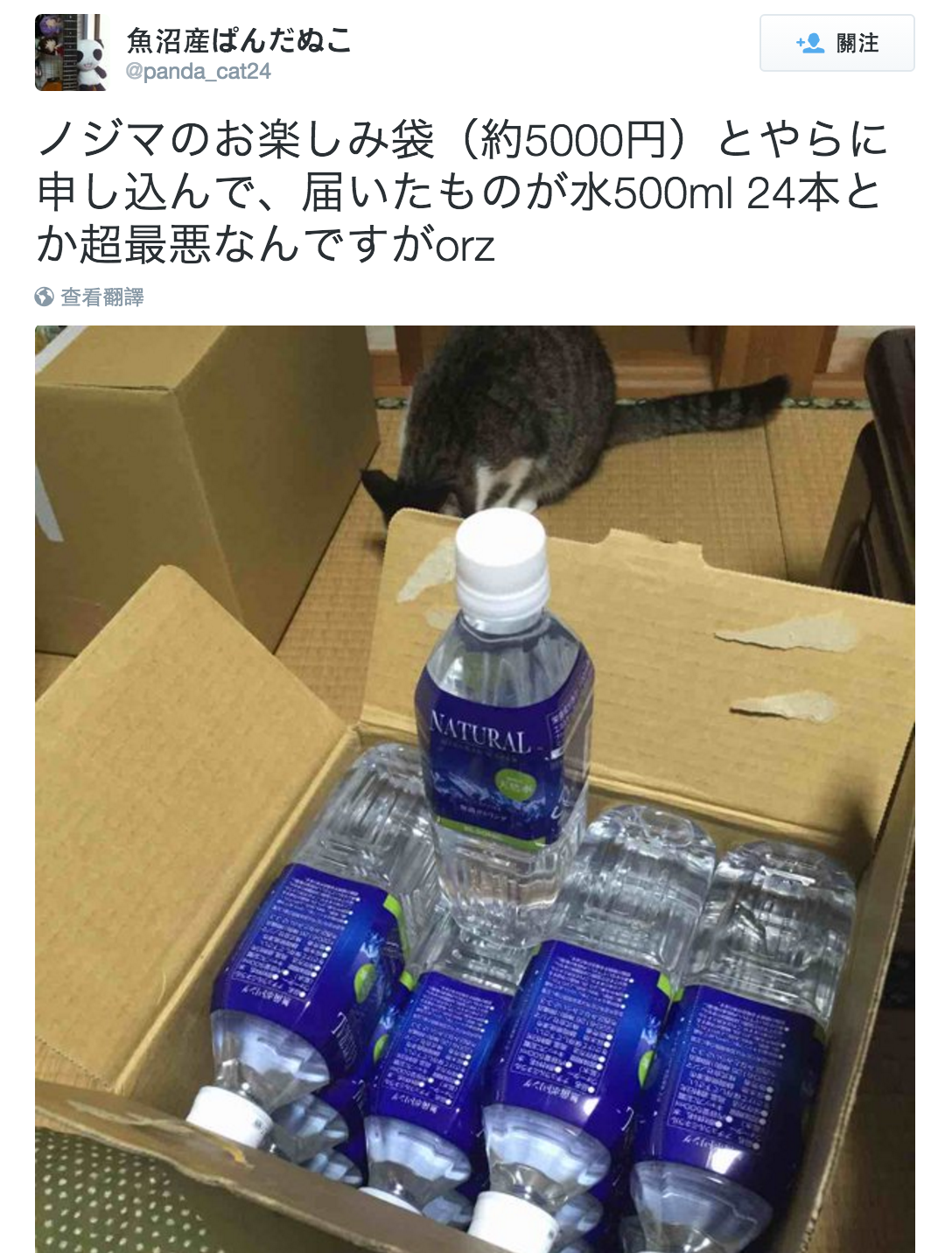 圖片來源：panda_cat24／Twitter