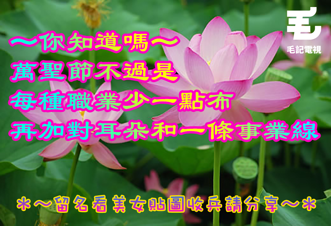 ​原圖：yokoso-japan.jp