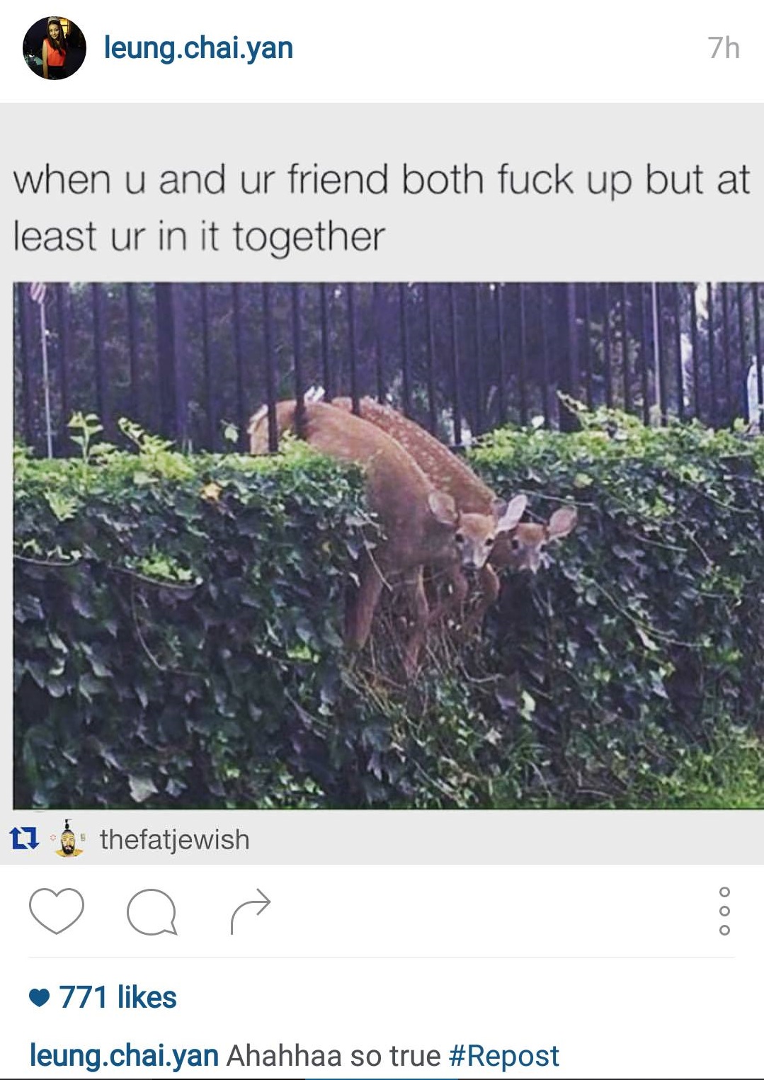 圖片來源： leung.chai.yan/instagram