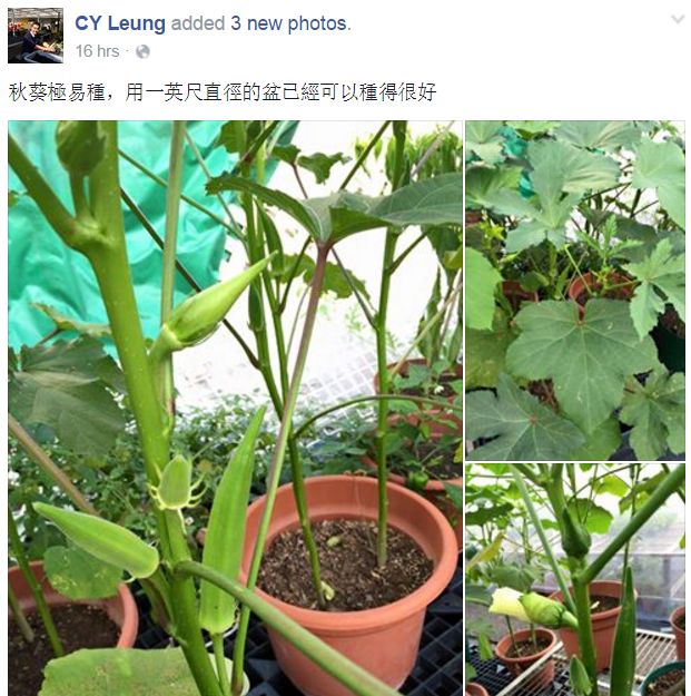 ​圖片來源：CY Leung/facebook