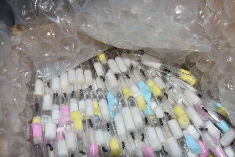 圖片來源：中新網