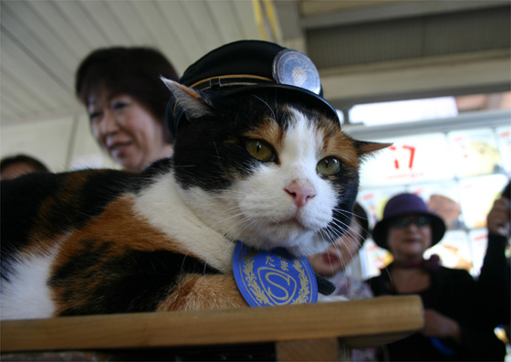 圖片來源：日本和歌山縣旅遊官方網站